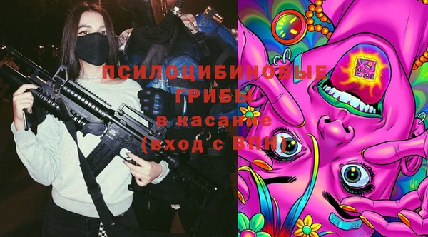 ПСИЛОЦИБИНОВЫЕ ГРИБЫ Кодинск