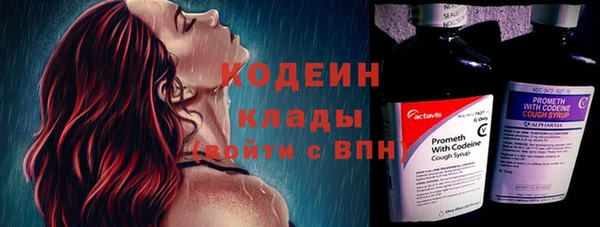ПСИЛОЦИБИНОВЫЕ ГРИБЫ Кодинск