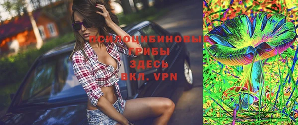 ПСИЛОЦИБИНОВЫЕ ГРИБЫ Кодинск