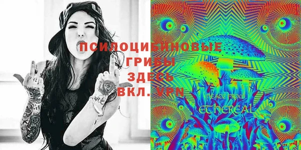 ПСИЛОЦИБИНОВЫЕ ГРИБЫ Кодинск